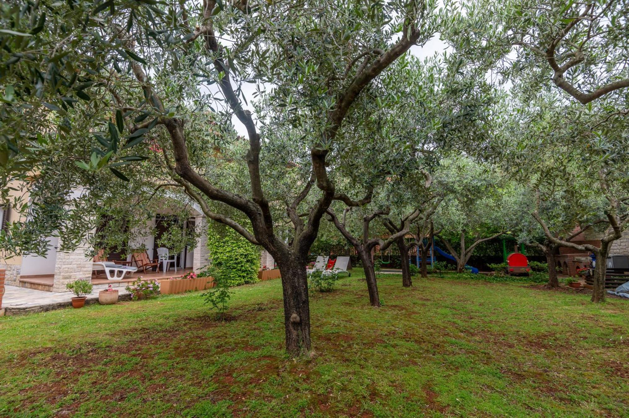 Apartments Mirella Novigrad Istria Exteriér fotografie